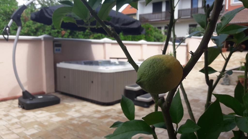 Csillag Panzio Hotel Vác Екстериор снимка